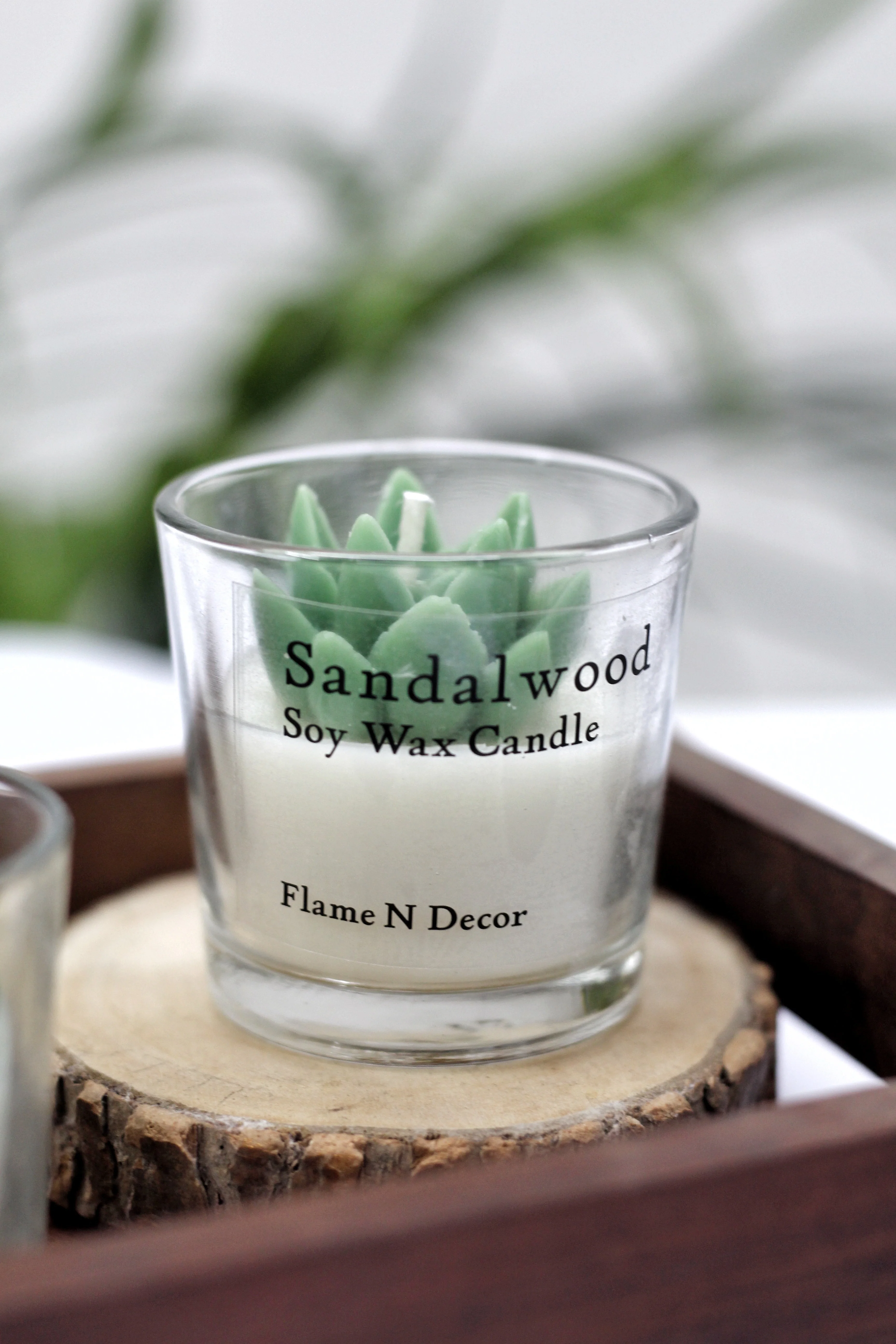 Combo Succulent Candle - Sandalwood | Set of 2 - Image 3