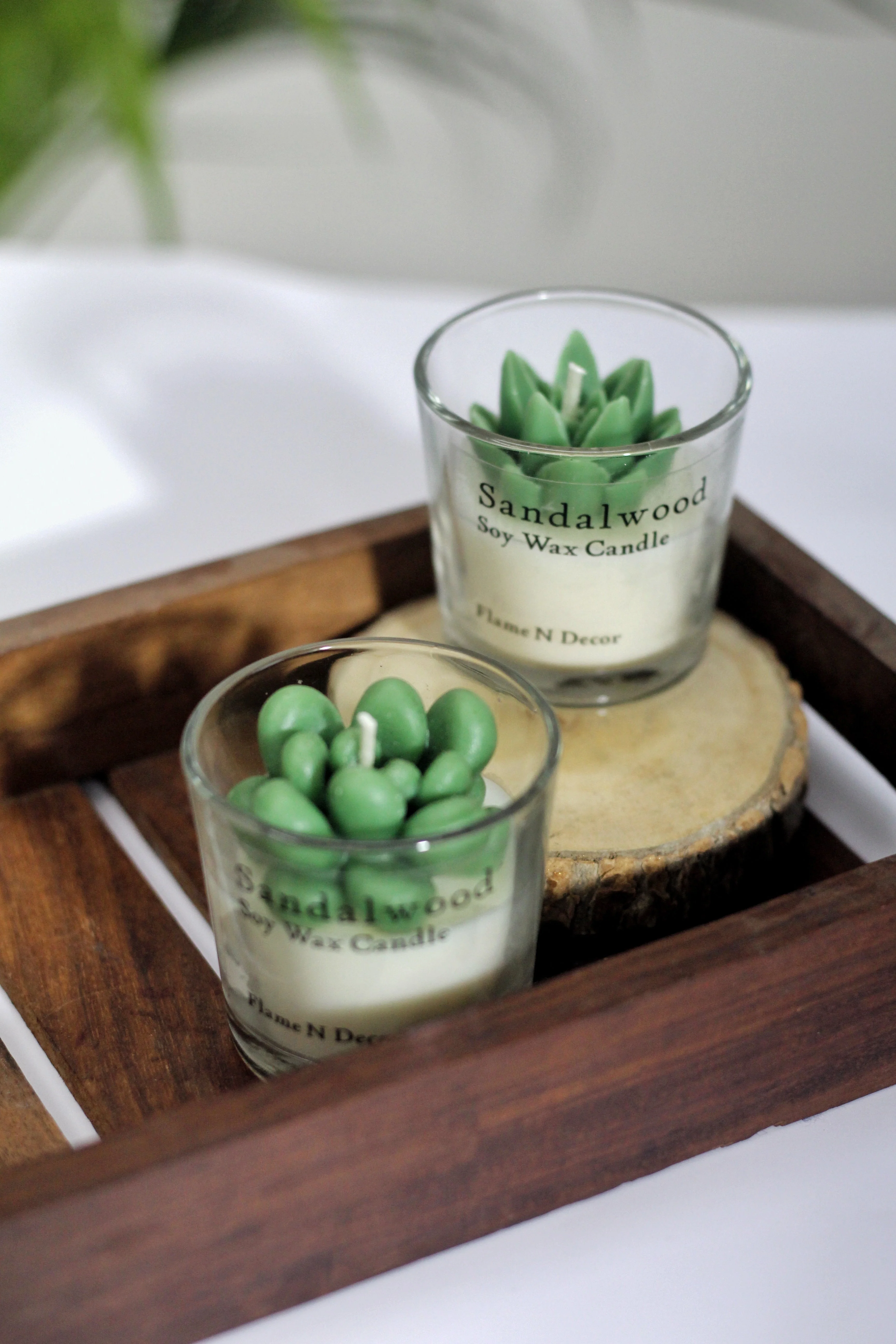 Combo Succulent Candle - Sandalwood | Set of 2 - Image 4