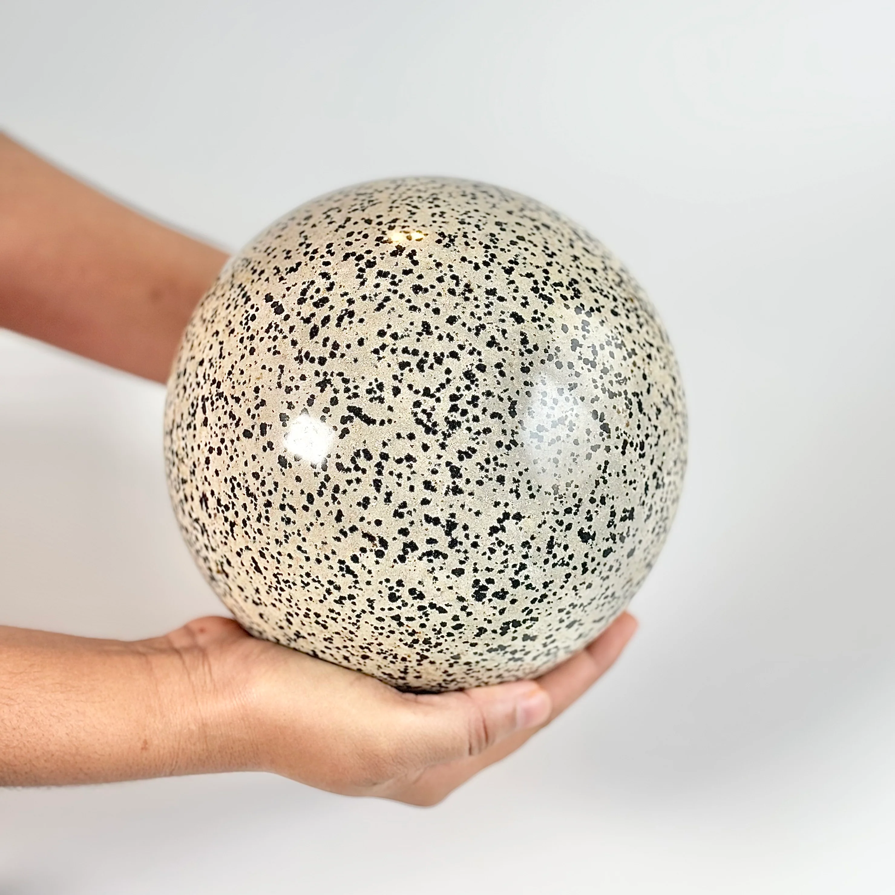 Dalmatian Jasper Extra Large Sphere - 5 Kg | Promotes Joy & Release Negativity - Image 3