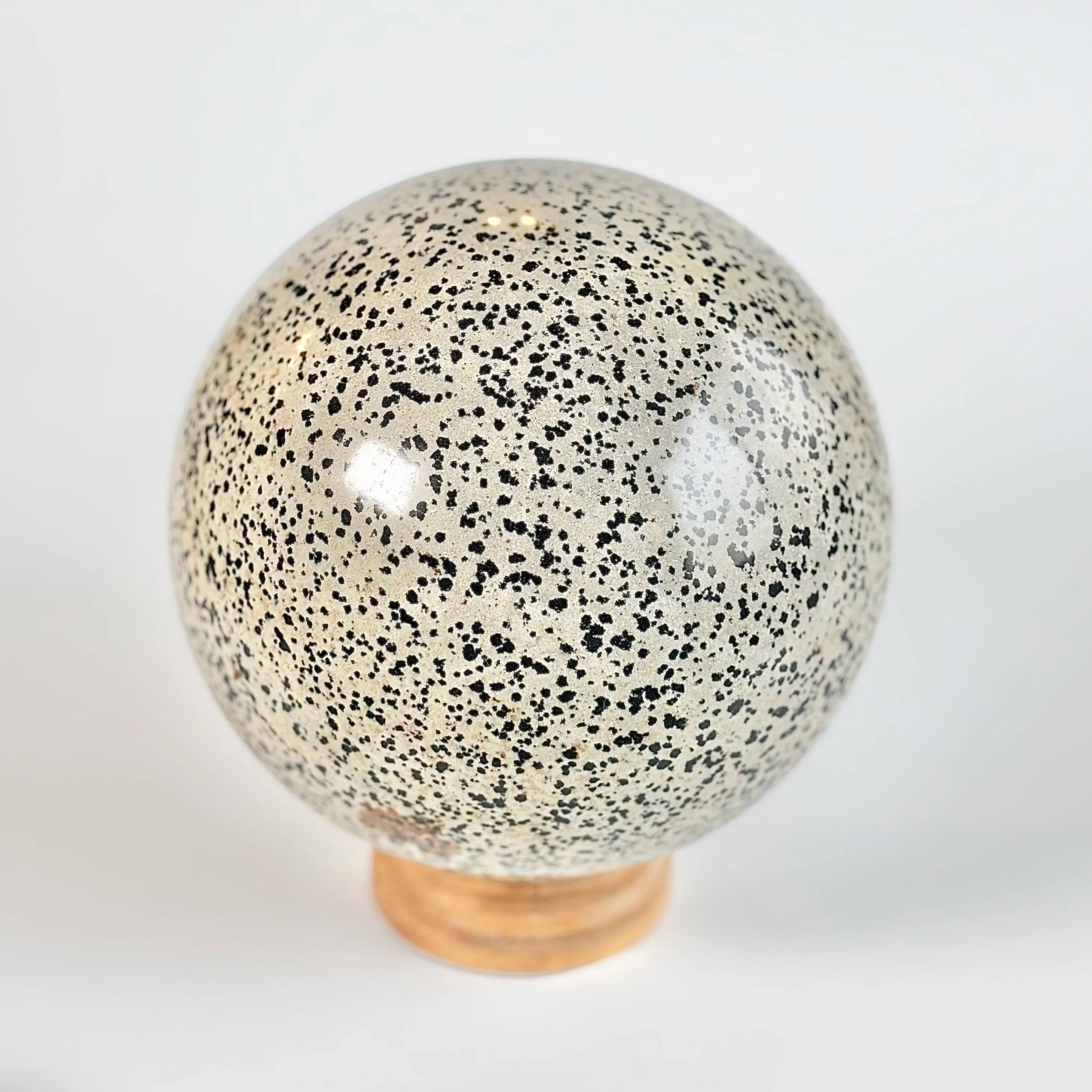 Dalmatian Jasper Extra Large Sphere - 5 Kg | Promotes Joy & Release Negativity - Image 4
