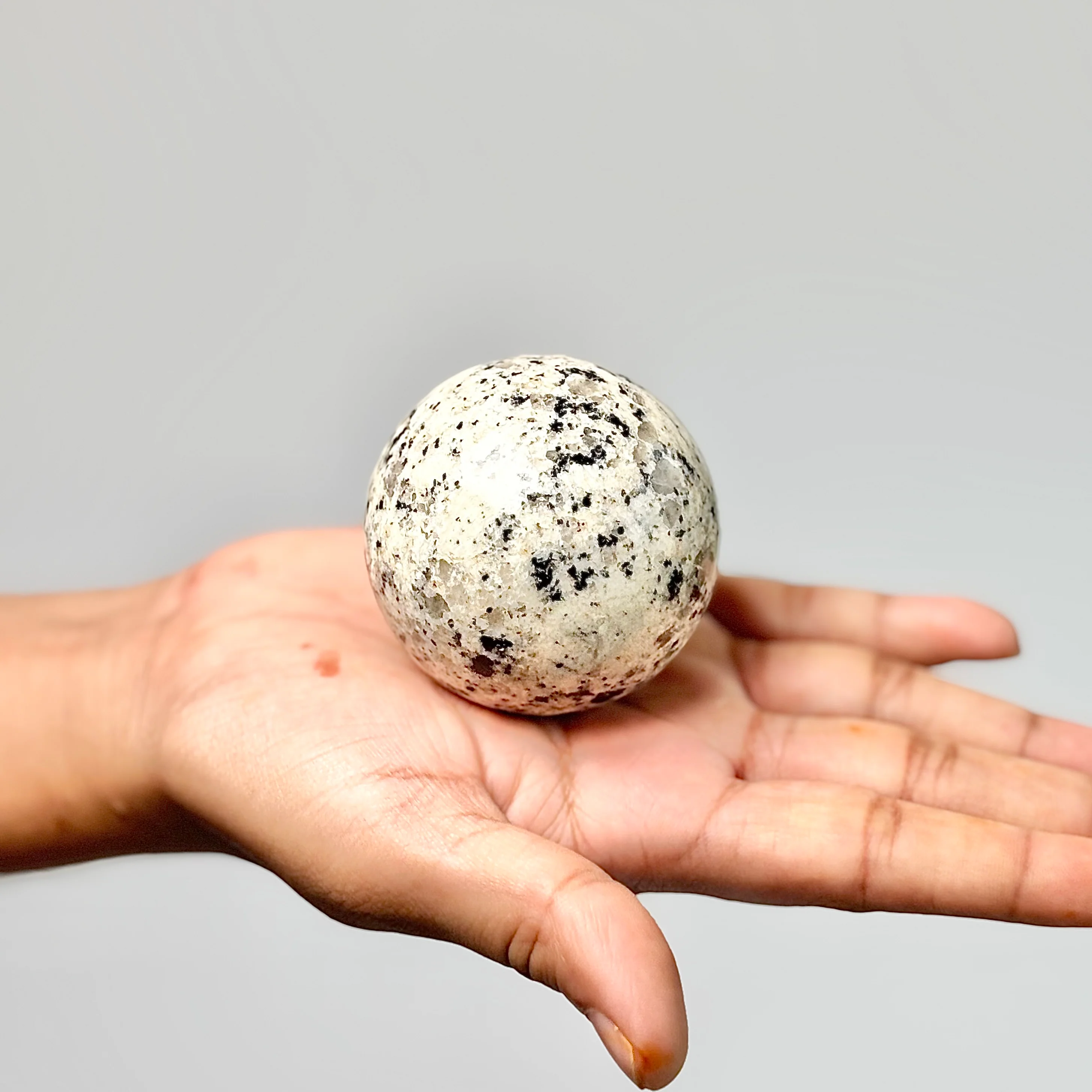 Dalmatian Jasper Sphere - Promotes Joy & Release Negativity - Image 3