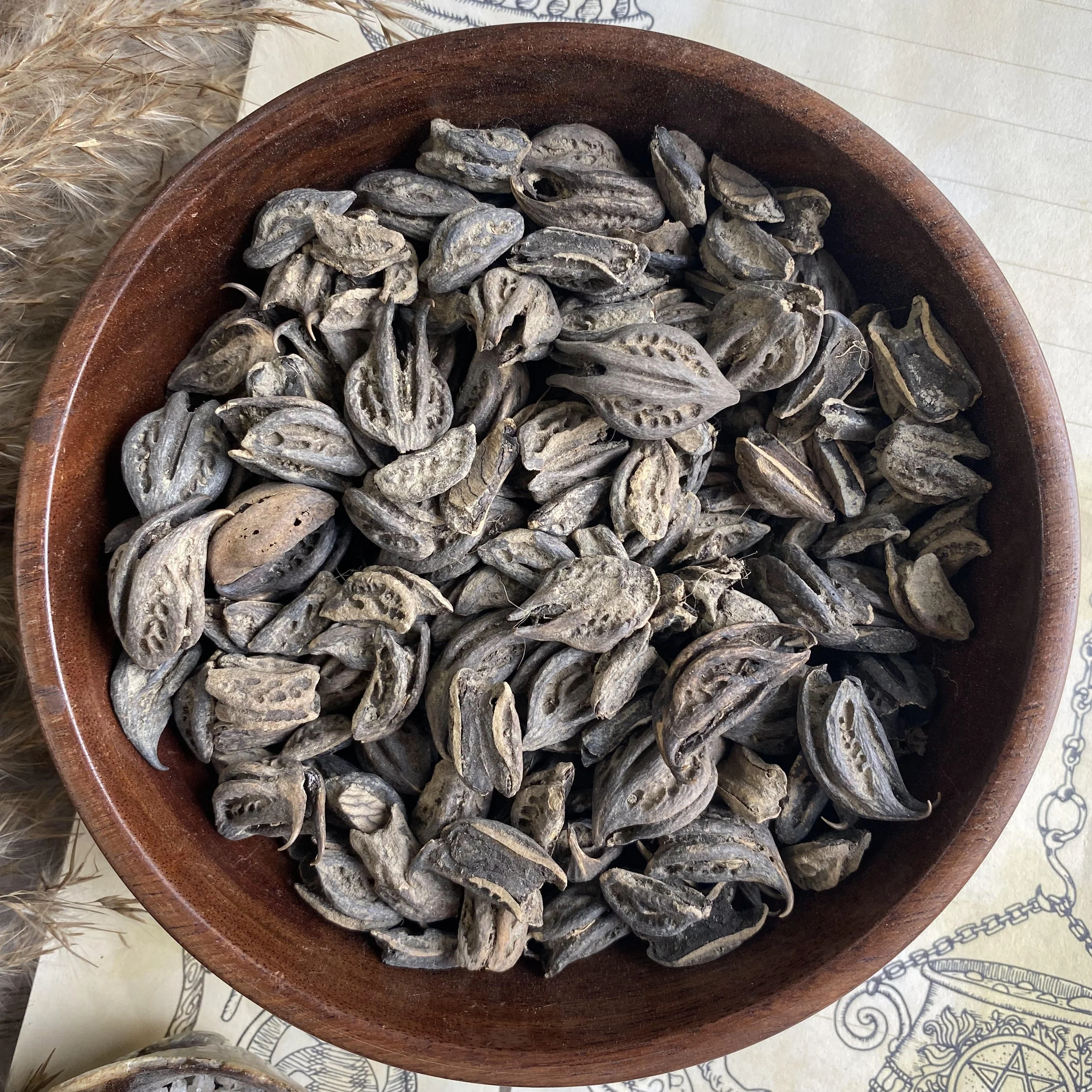 Devil Claw - 30 Gm