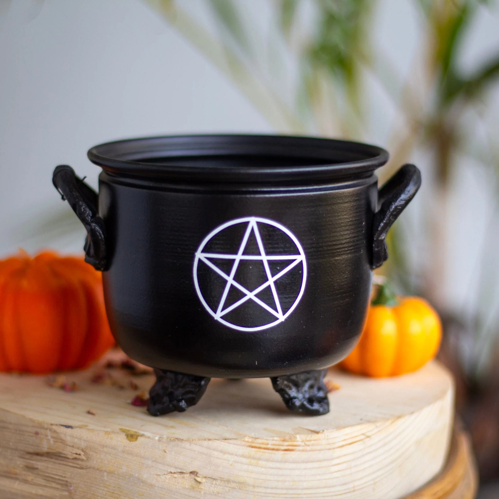 Pentacle Print Cauldron