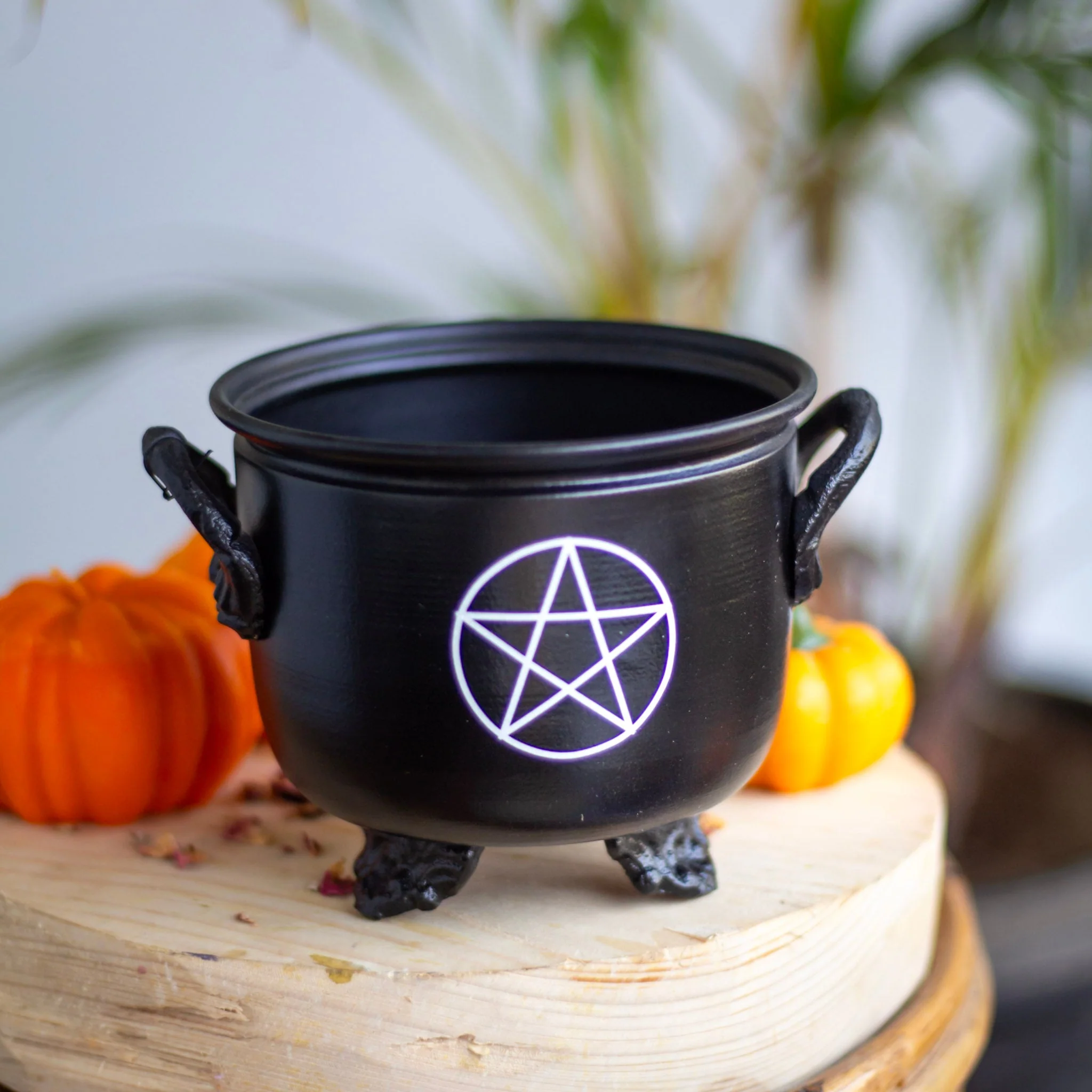 Pentacle Print Cauldron - Image 6