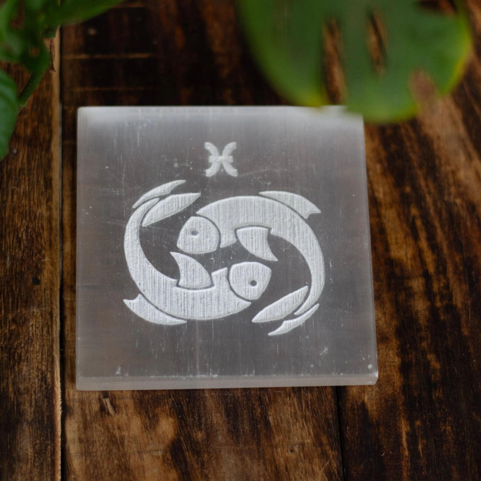 Pisces zodiac symbol carved Selenite Plate (Satin Spar Selenite) | Stone for Spiritual work & Cleansing - Image 3