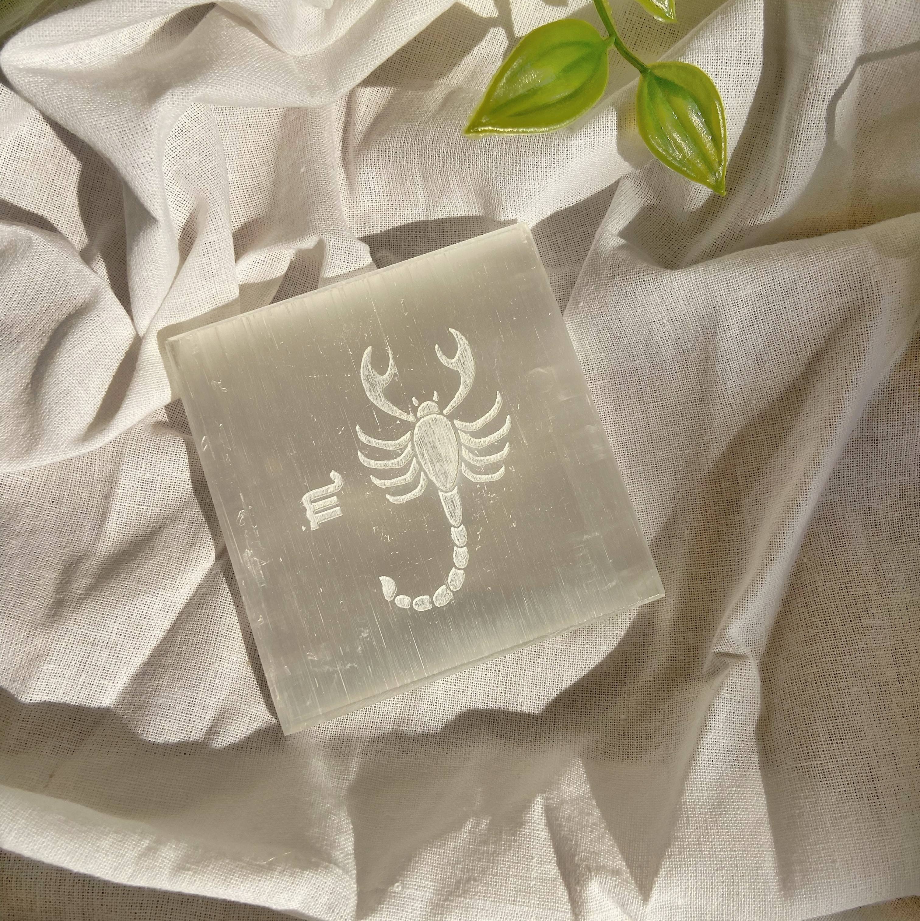Scorpio Zodiac Carved Selenite Plate - 3 Inches (Satin Spar Selenite) | Stone for Spiritual work & Cleansing - Image 3