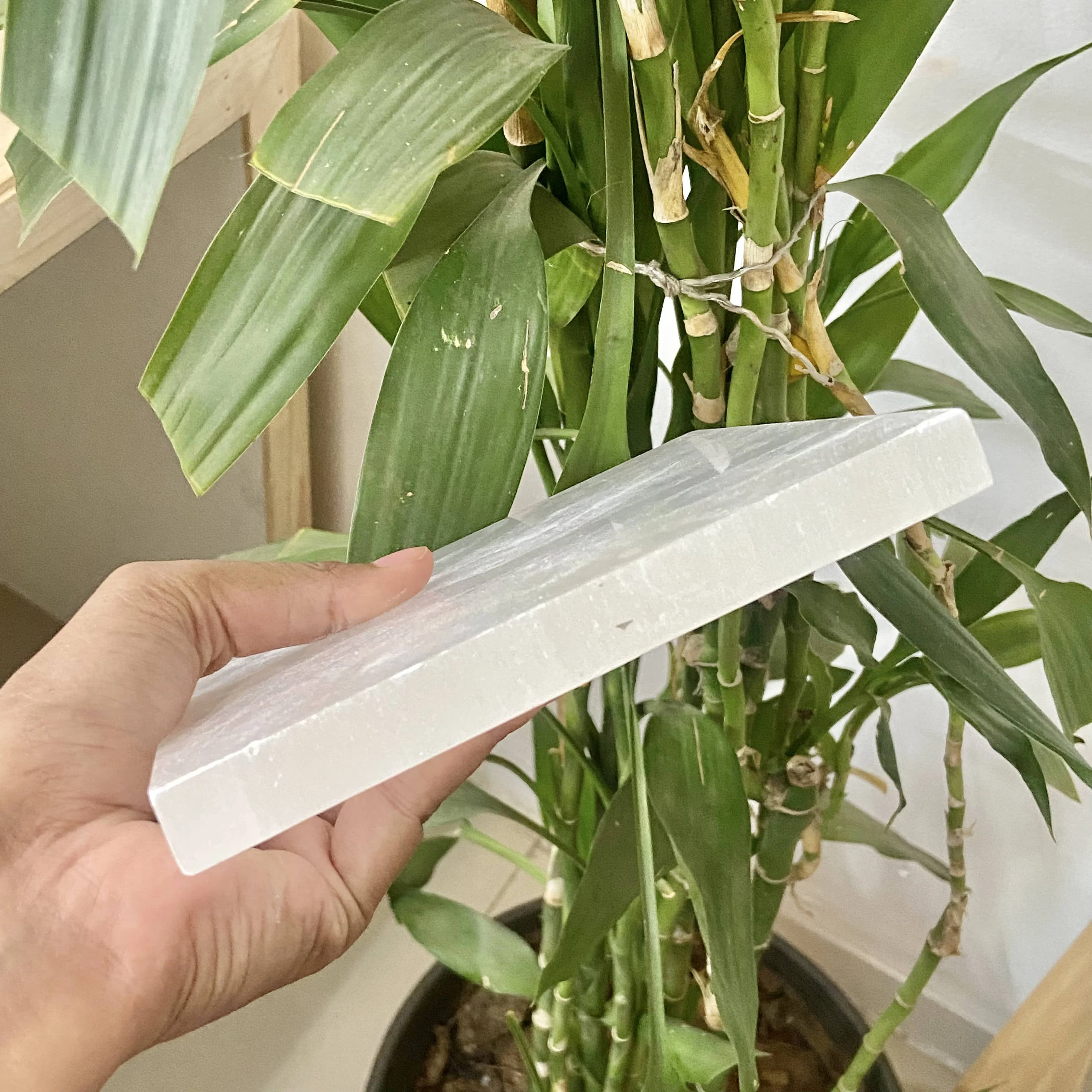 Selenite Square Plate  (Satin Spar Selenite) | Stone for Spiritual work & Cleansing - Image 4