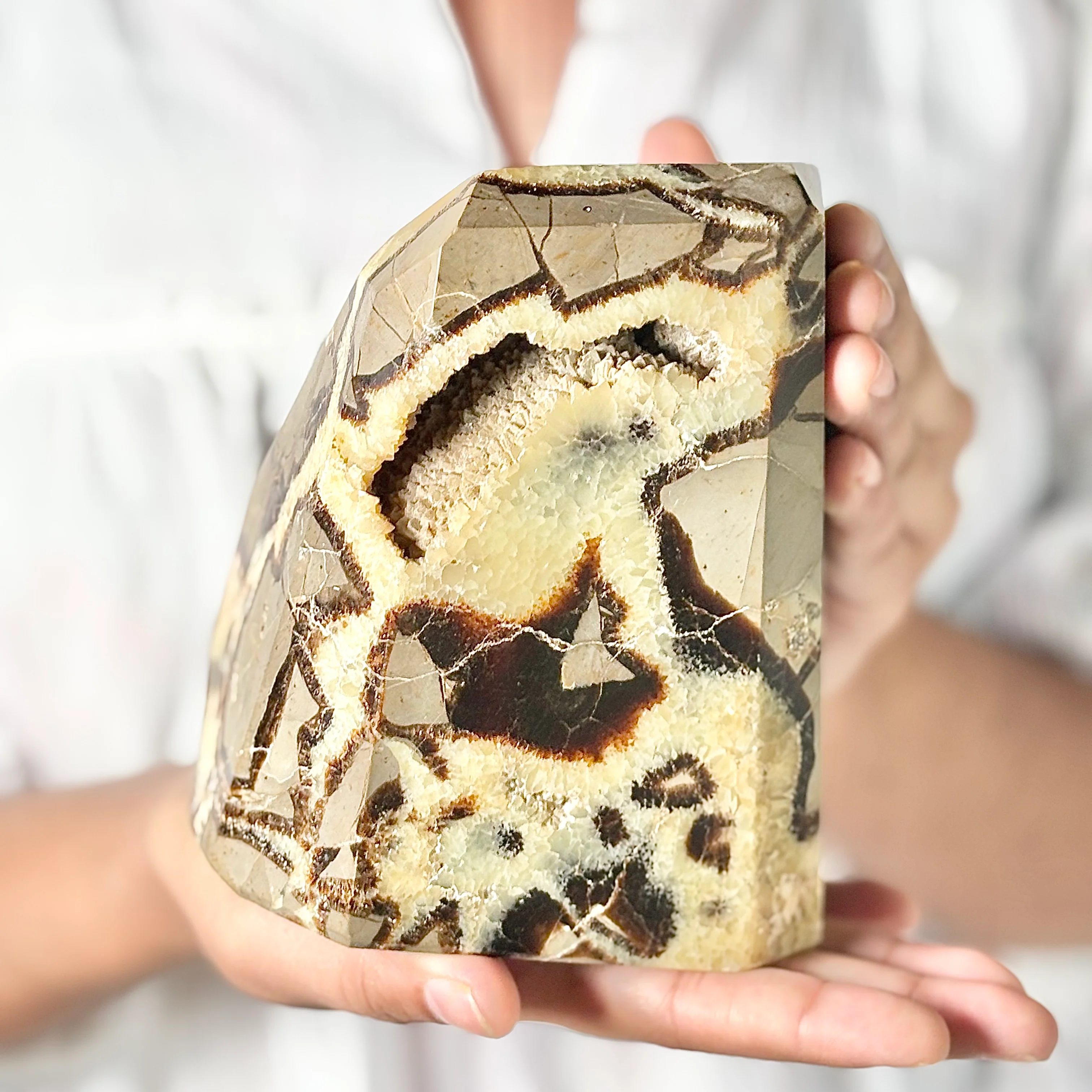 Septarian  free form with Druzy - 2 Kg - Image 2