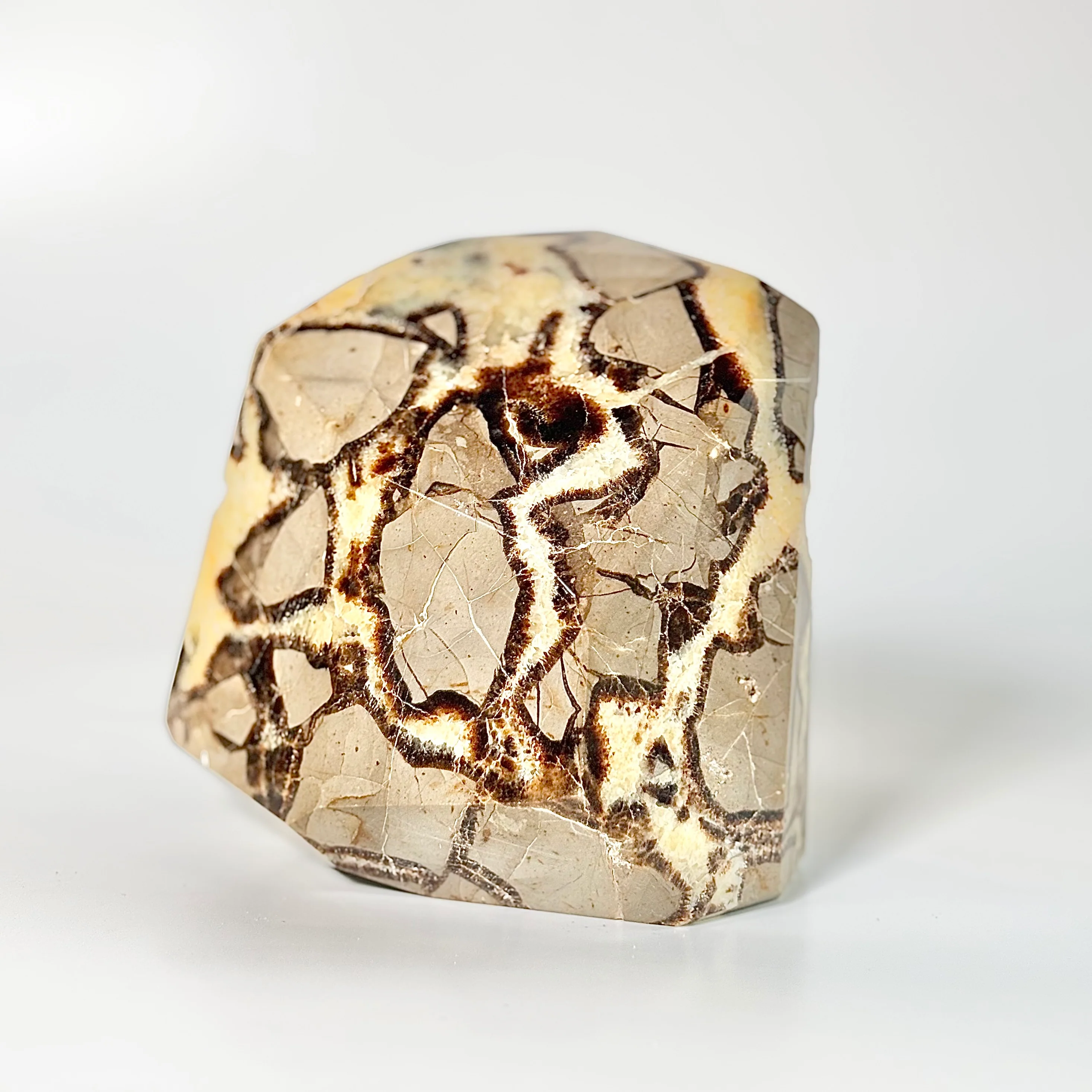 Septarian  free form with Druzy - 2 Kg - Image 3