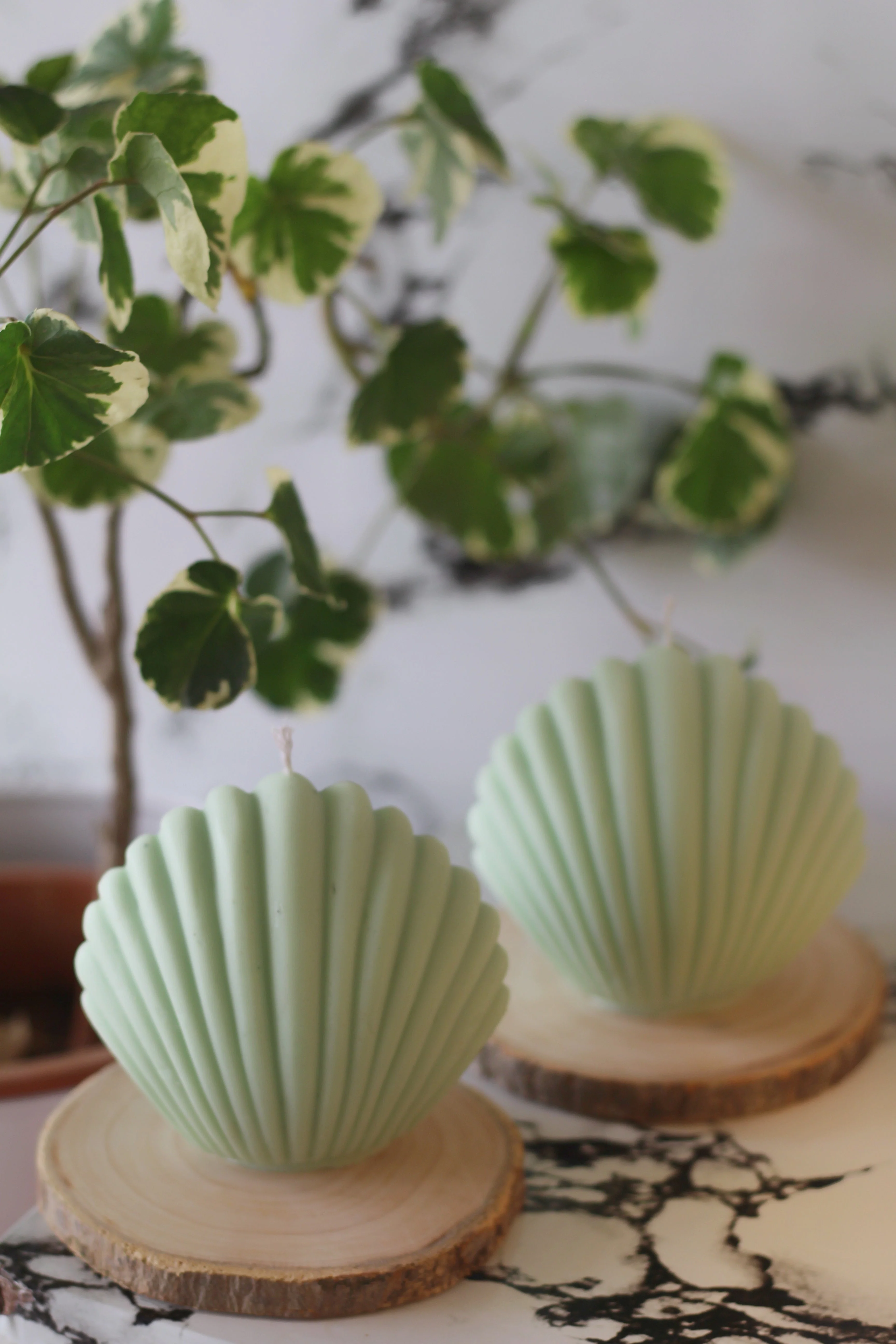 Green Shell Soy Candle - Image 2