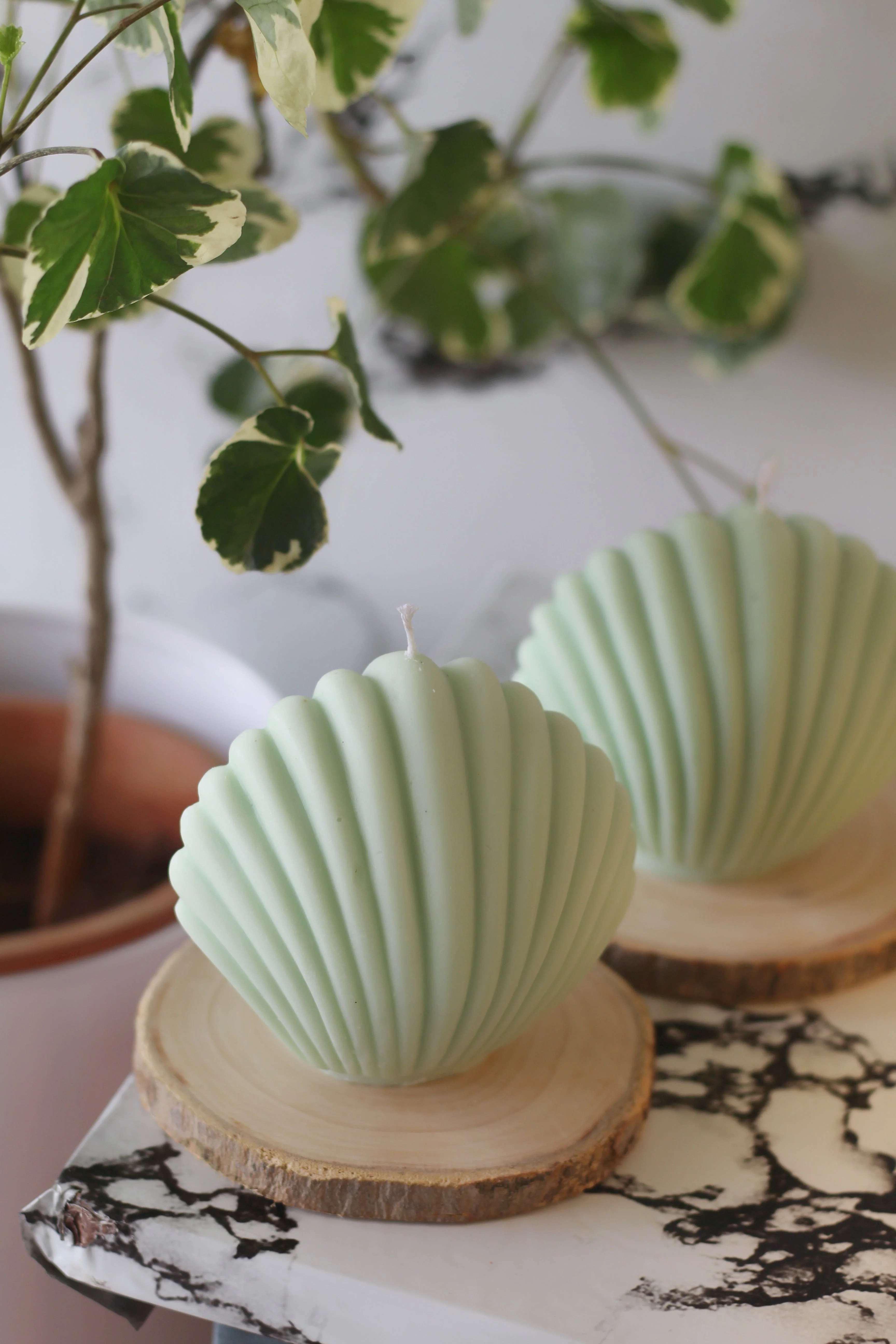 Green Shell Soy Candle - Image 4