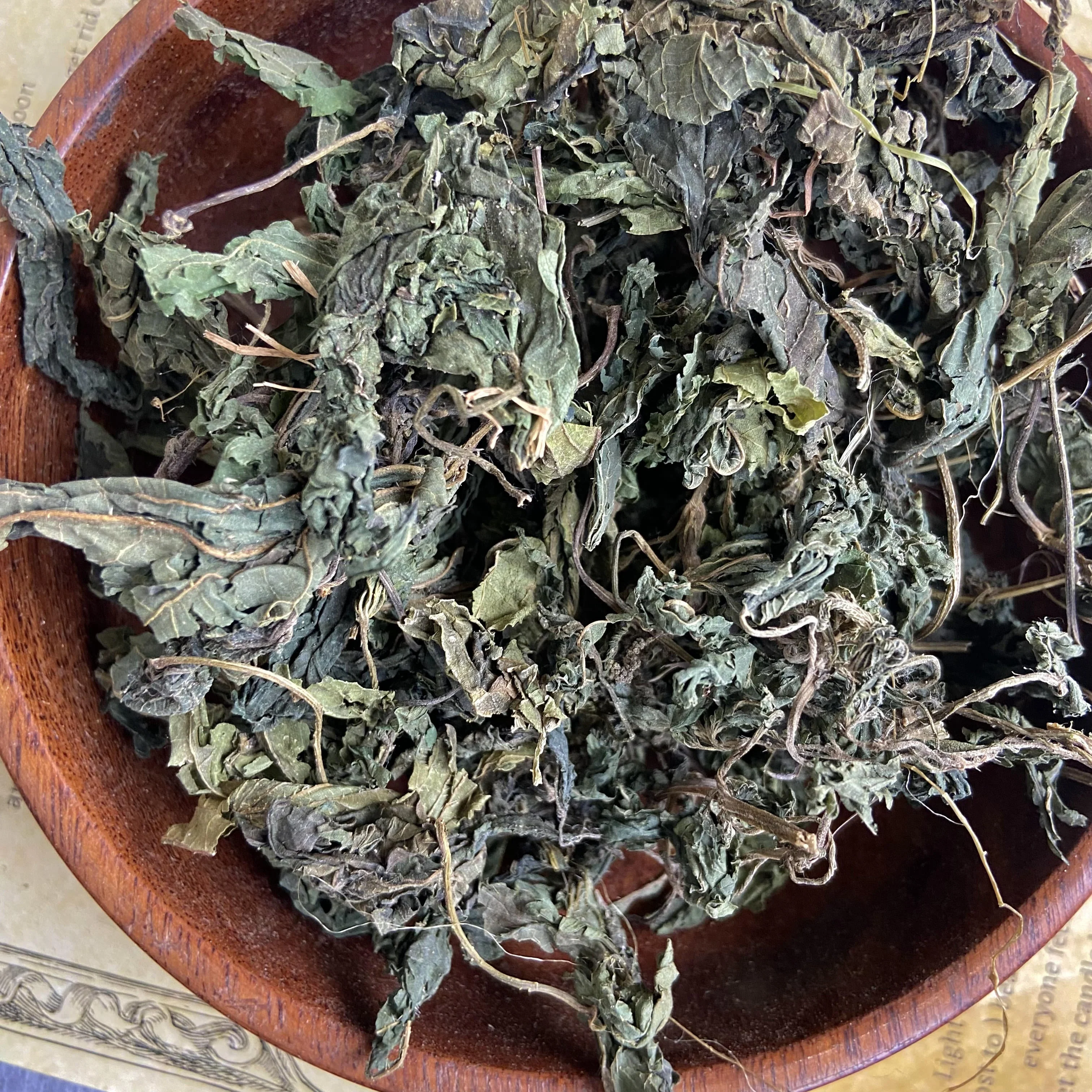 Stinging Nettle -60 Gm - Image 2