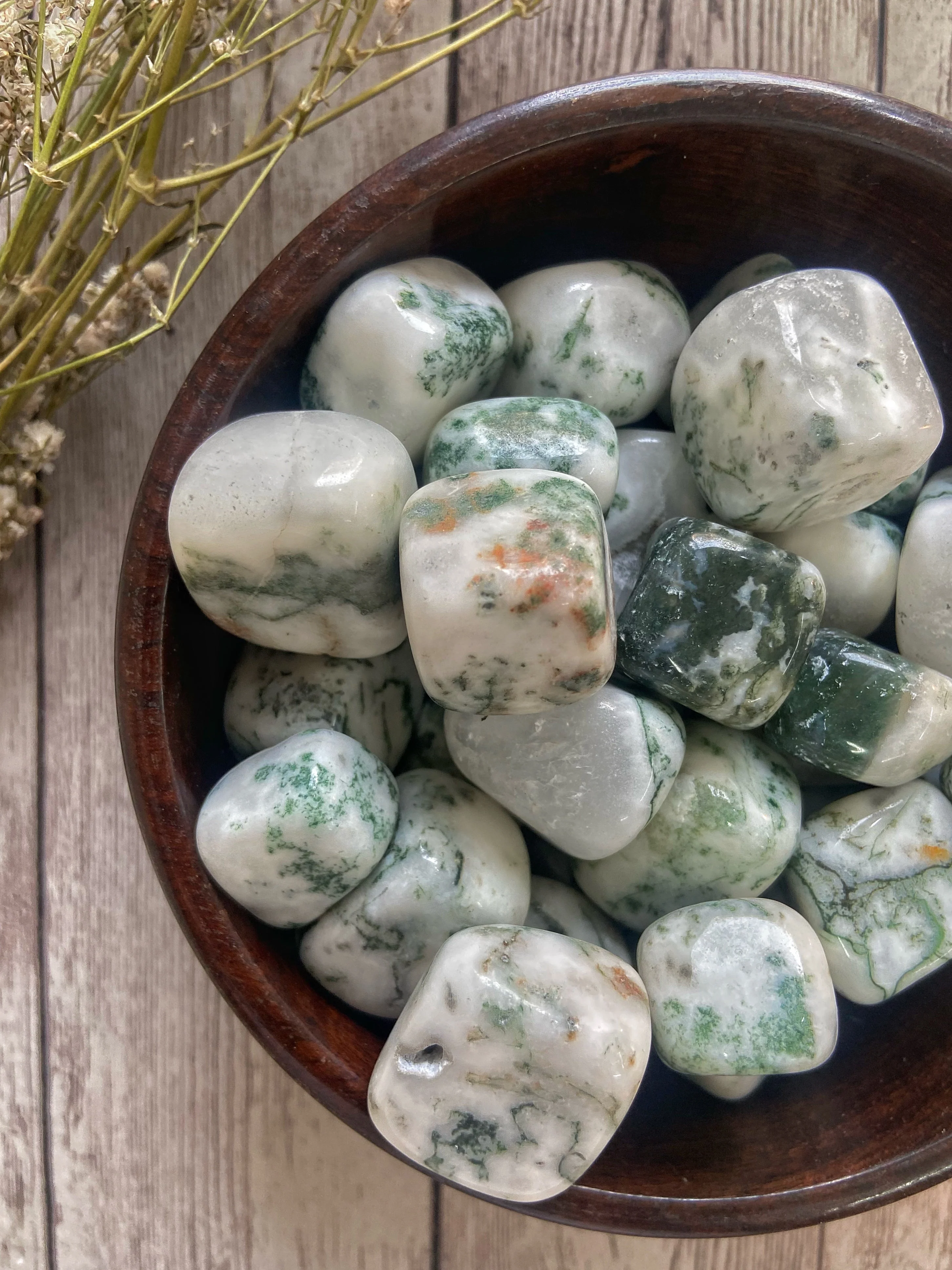 Tree Agate Tumble | Financial Abundance & Balances Yin Yang - Image 2