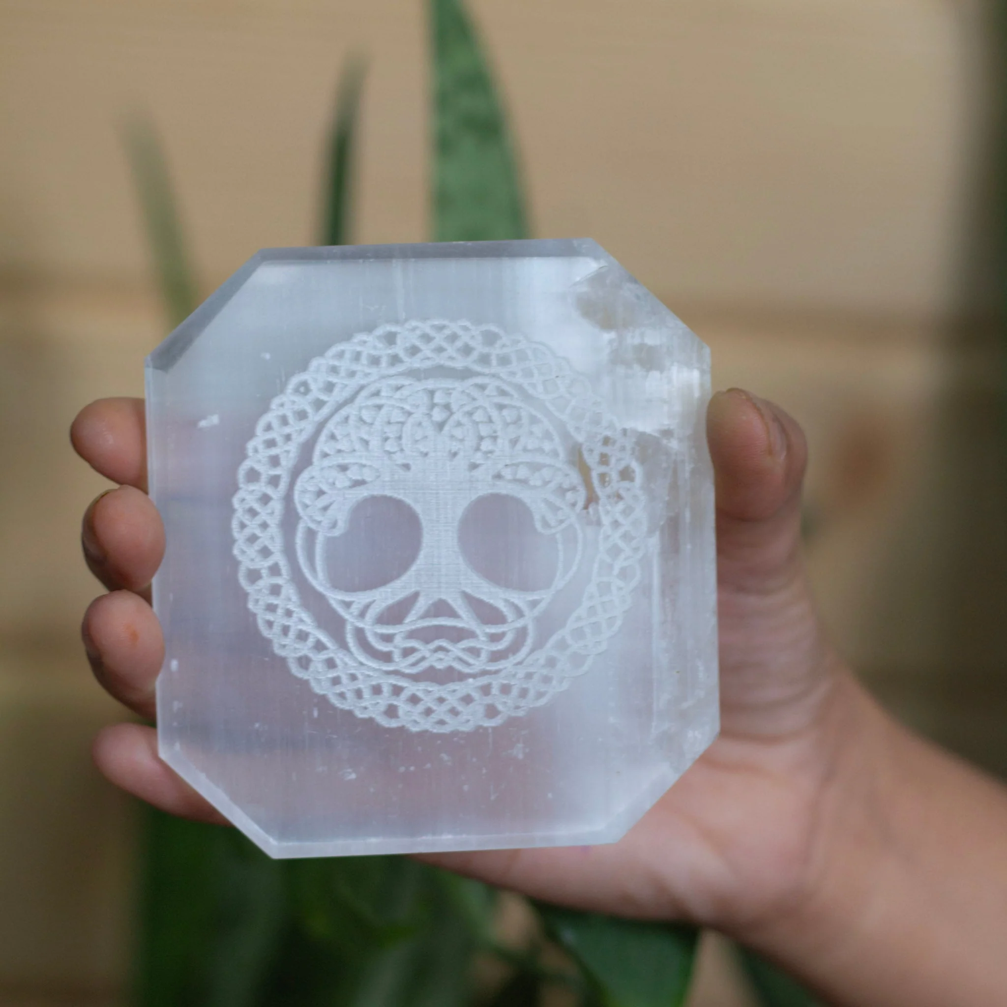 Tree of life symbol carved Selenite Plate (Satin Spar Selenite) | Stone for Spiritual work & Cleansing