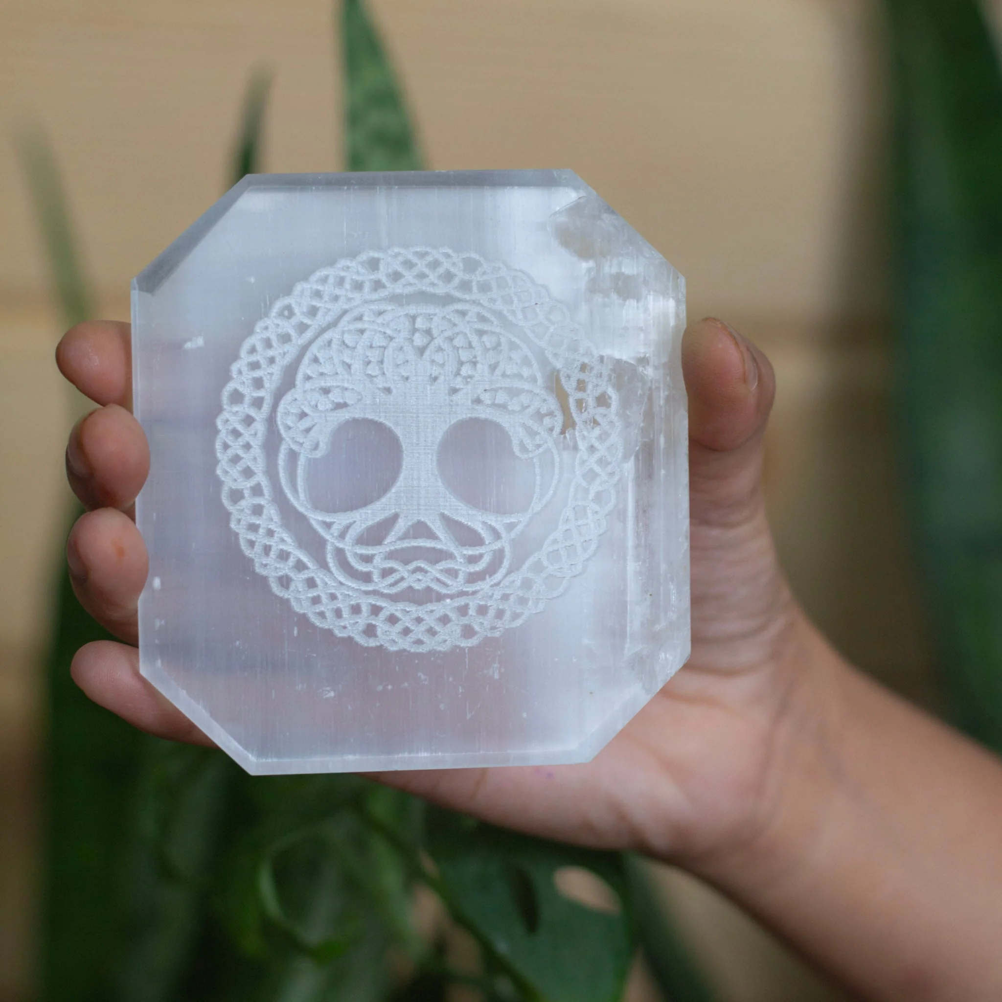 Tree of life symbol carved Selenite Plate (Satin Spar Selenite) | Stone for Spiritual work & Cleansing - Image 3