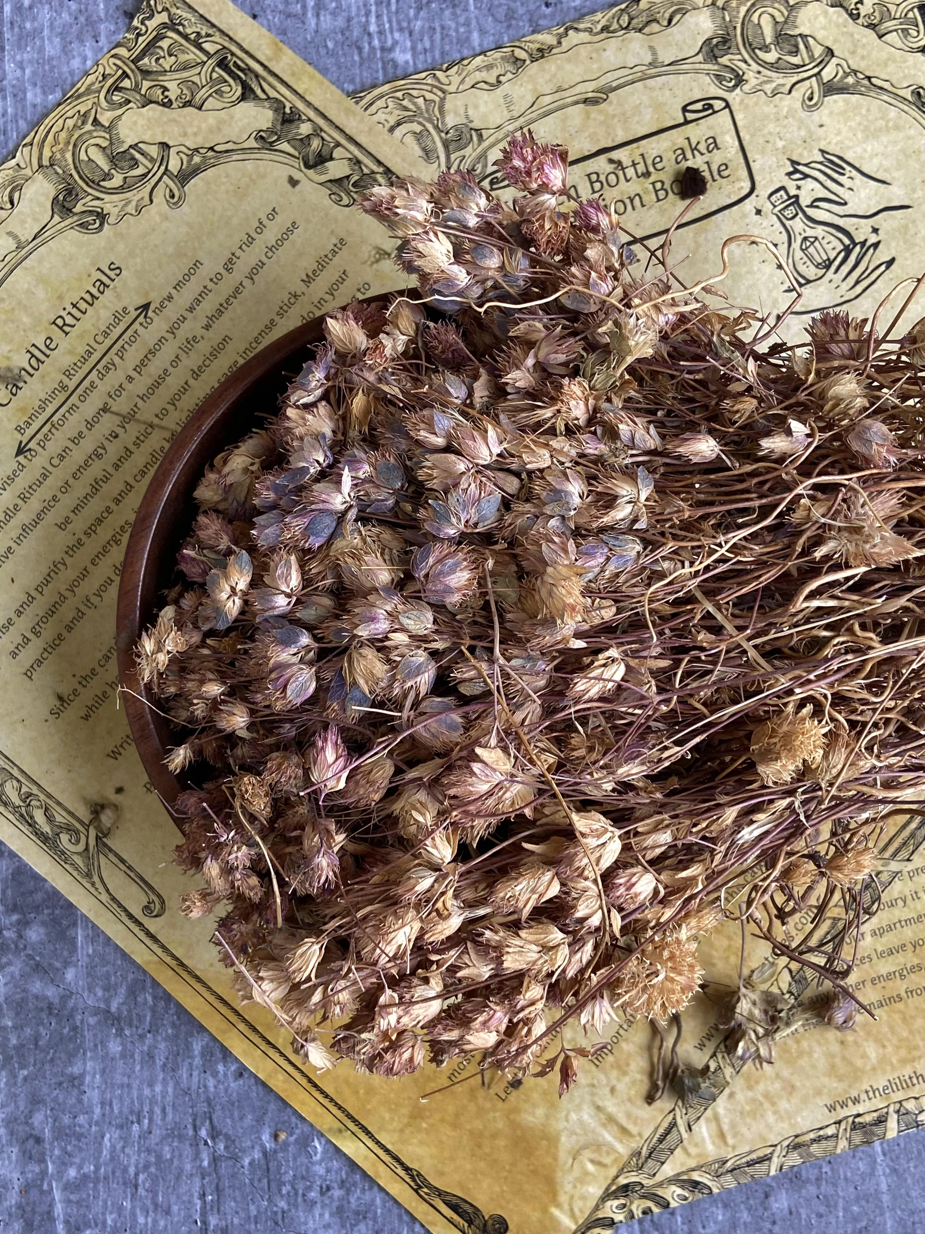 Vervain - 30Gm - Image 2