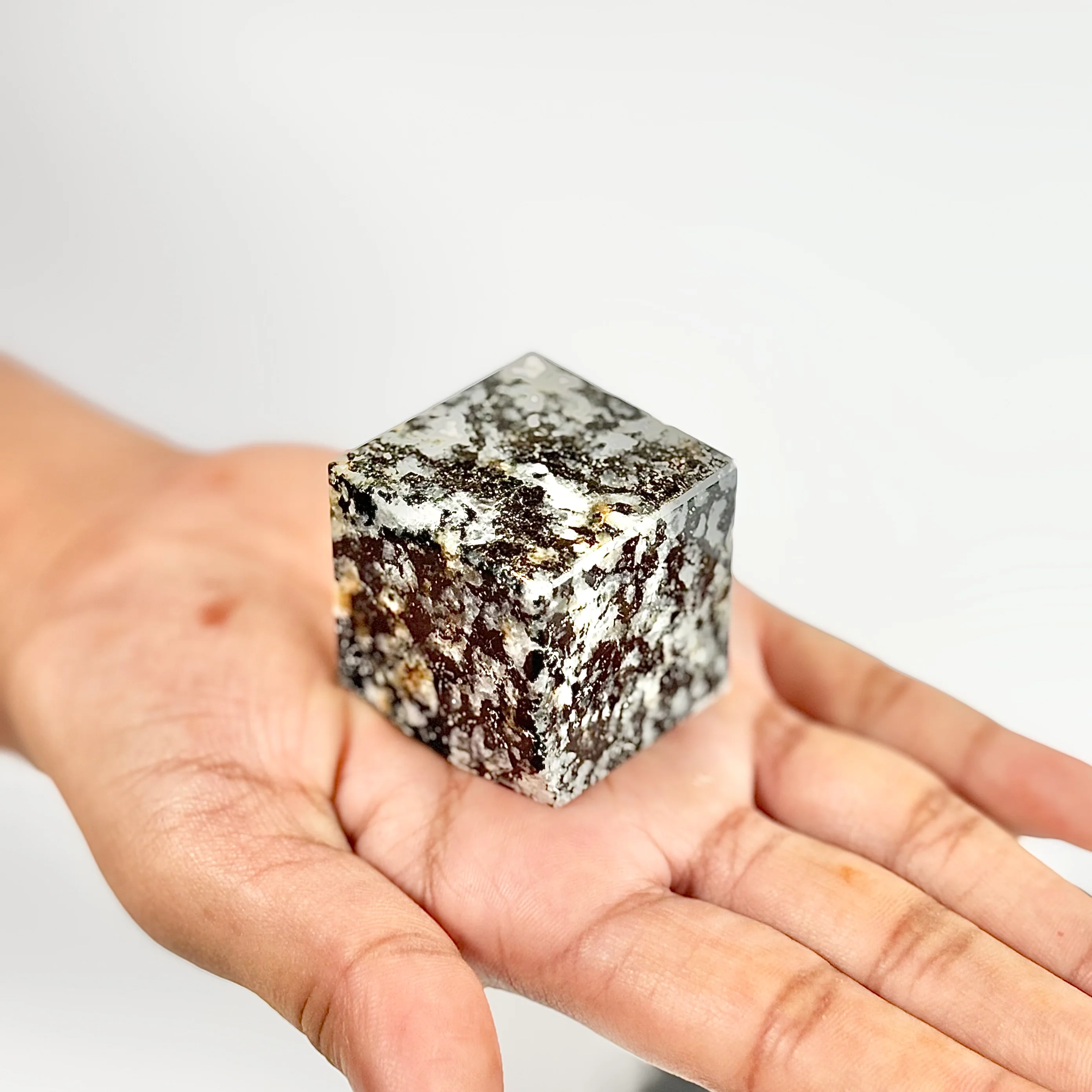 Zebra Jasper Cube - Focus
