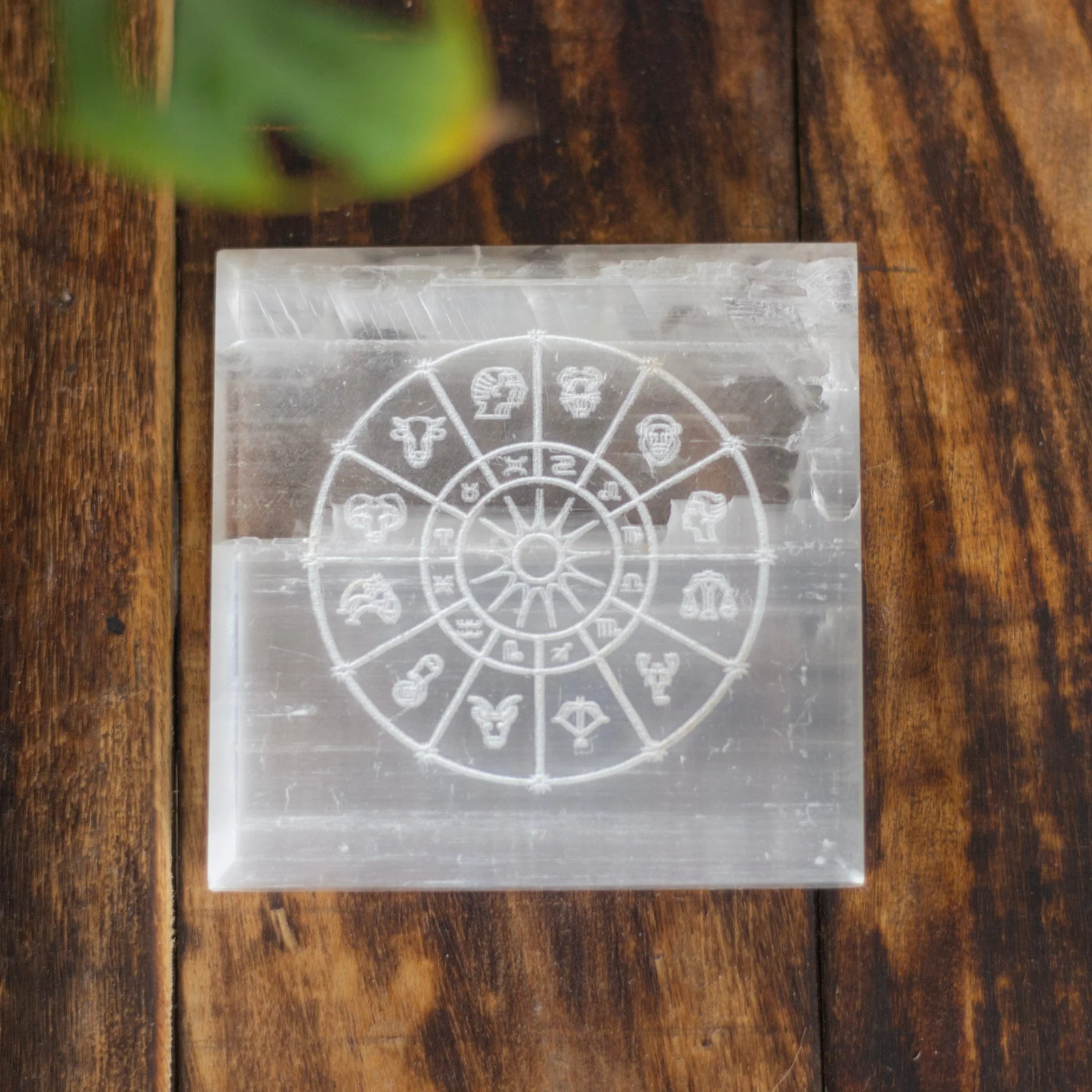 Zodiac Circle Carved Selenite Plate (Satin Spar Selenite) | Stone for Spiritual work & Cleansing - Image 3